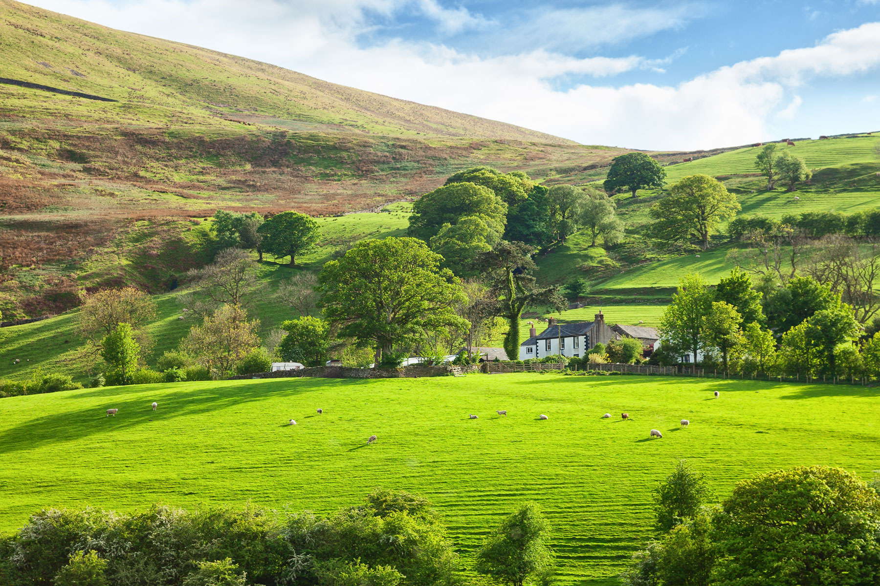 Agricultural Landlord and Tenant Code of Practice for England: A new era?