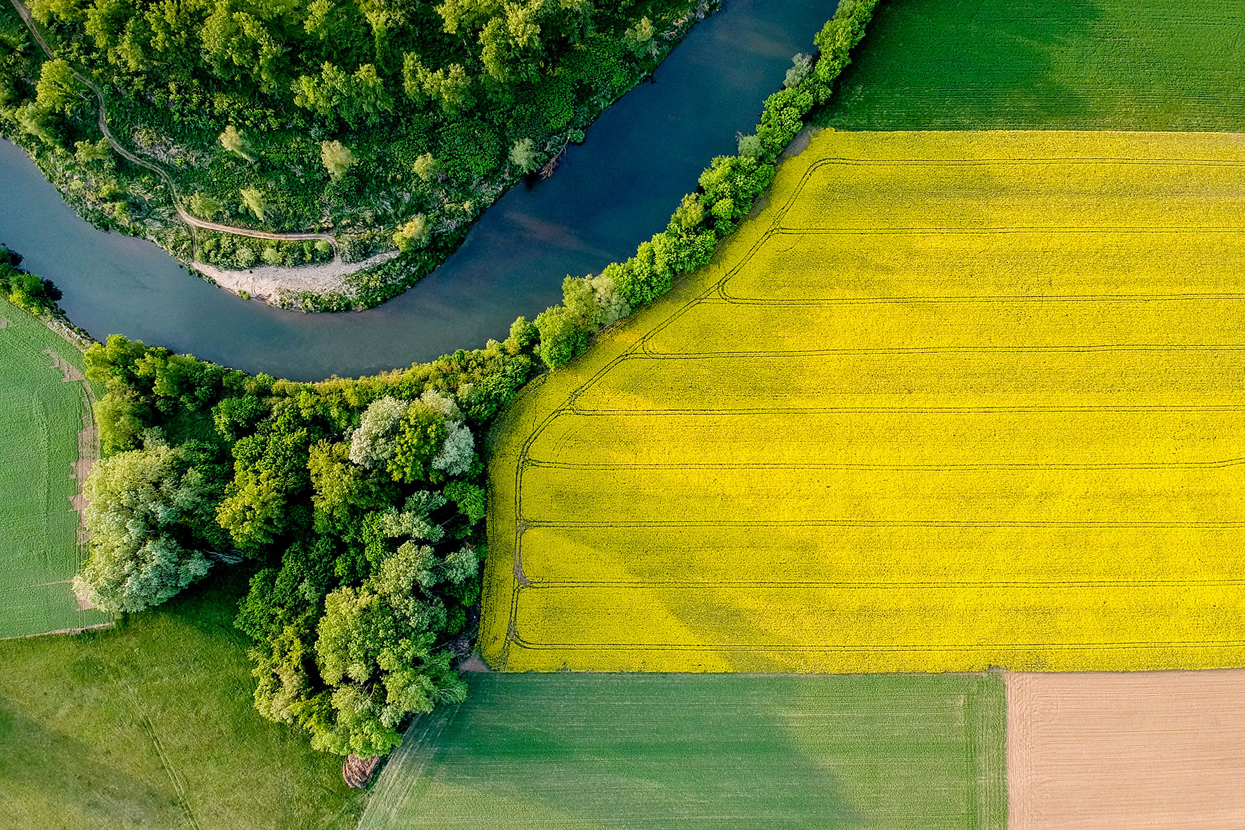 An update on the Landscape Recovery Scheme