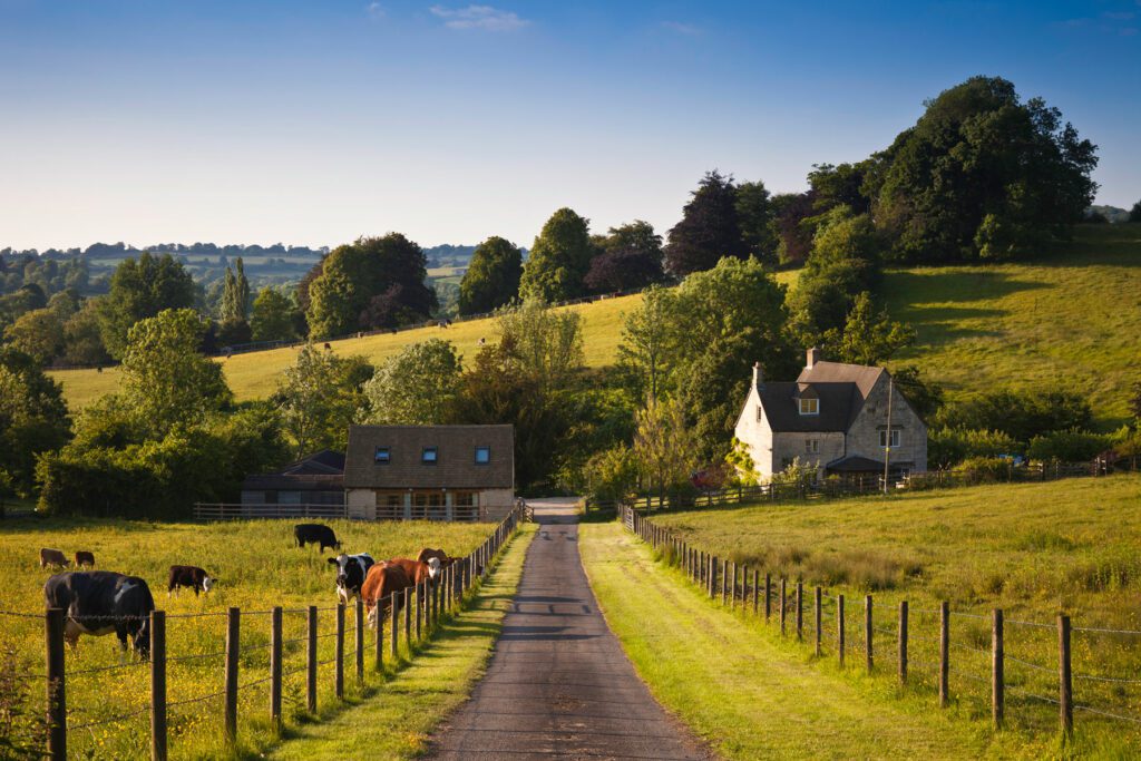 Farmland with farmhouse and grazing cows in the UK