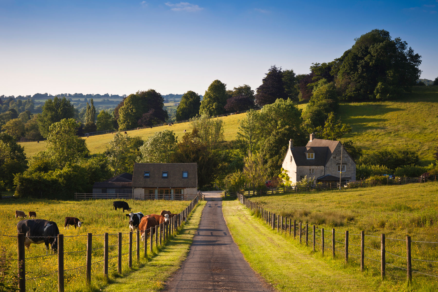 Autumn Budget 2024: Agricultural Property Relief and Business Property Relief